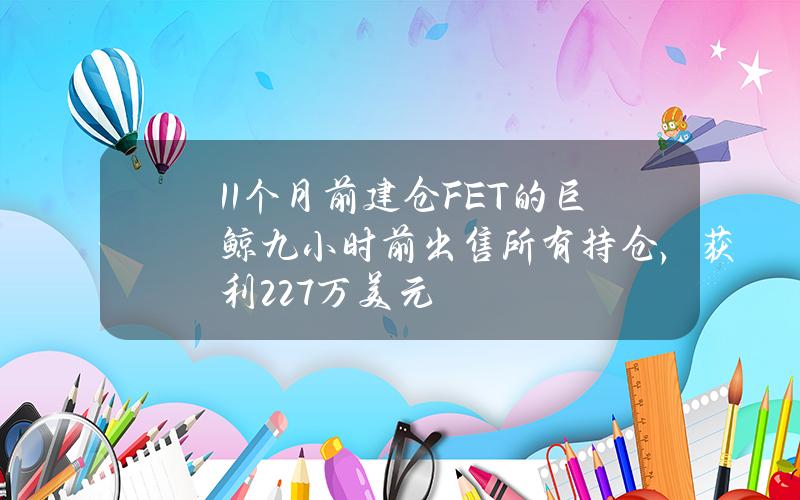 11个月前建仓FET的巨鲸九小时前出售所有持仓，获利227万美元