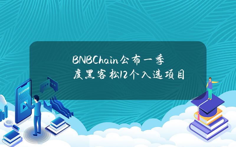 BNBChain公布一季度黑客松12个入选项目